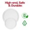 Clear Flat Round Disposable Plastic Dinner Plates - 10" (120 Plates)